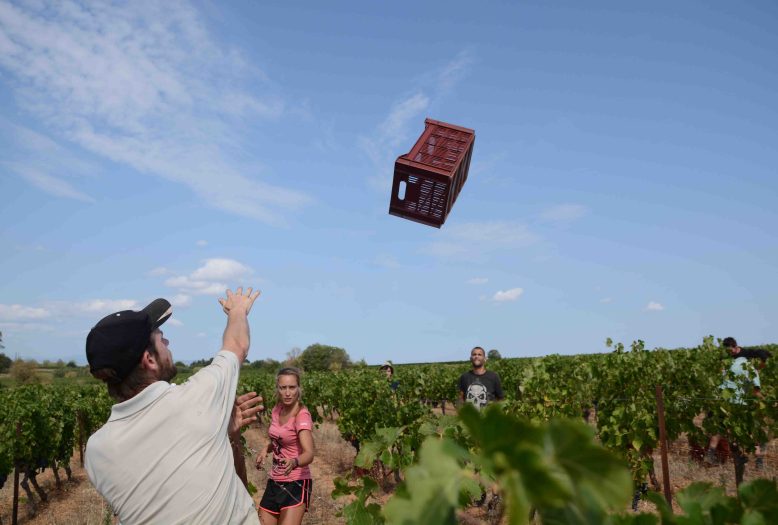 8D4A1810-B26D-44A8-8670-38B95FB63408