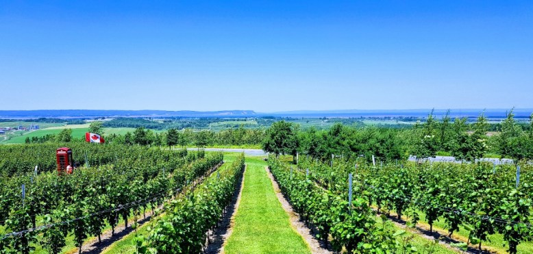 53B15BA1-2582-4FFE-8985-0D09DEA8F2F3